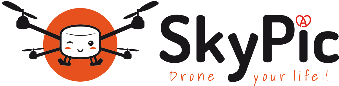 Logo Skypic